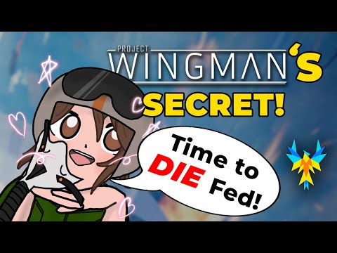 The RARE SECRET to Project Wingman's SUCCESS