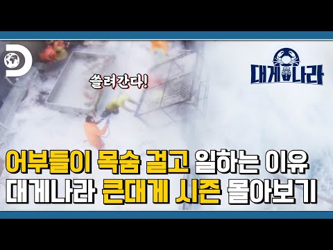 죽음과 대박이 공존하는 바다🌊 상남자들의 세계 대게 잡이🚢 큰대게 시즌 몰아보기🦀 [대게나라 : Deadliest Catch]