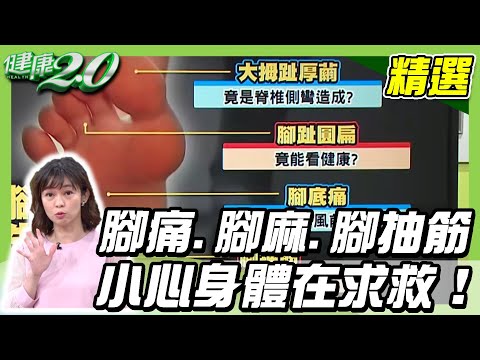 腳痛.腳麻.腳抽筋 小心身體在求救！養生先養腳「3分鐘保健按摩」【健康2.0精選】