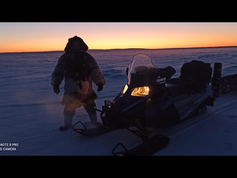 Передовая Чукотских оленеводов, нашествие Волков
