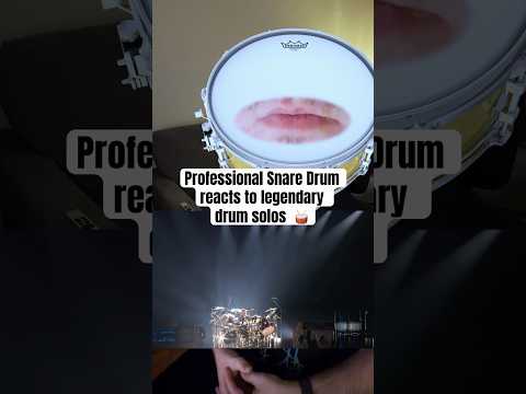 Professional Snare Drum Reacts