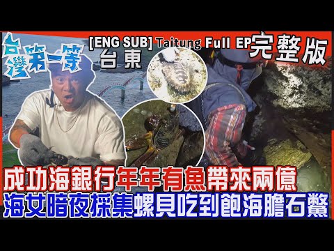 [全新] 台東【成功海銀行 年年有"魚"帶來兩億？海女磨鉤霍霍 暗夜採集海冰箱/最潮餐桌「蟹蟹彈塗魚、螺貝吃到飽、海膽石鱉」、掰了檳榔！荖葉"醬"吃才對味】│2023.12.03│《台灣第一等》完整版