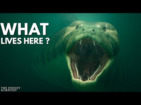 The Bizarre Creatures Hiding in The Amazon River