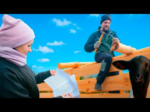 Подарки к новому году. Анализ для воды в пруд. Дровяник и конкурс.Овца ушла рожать подальше от сарая