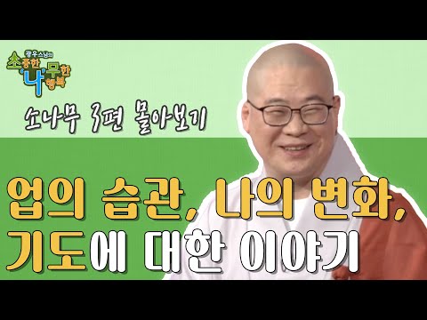 업의 습관, 나의 변화, 기도에 대한 이야기 [광우스님의 소나무 3편 몰아보기]