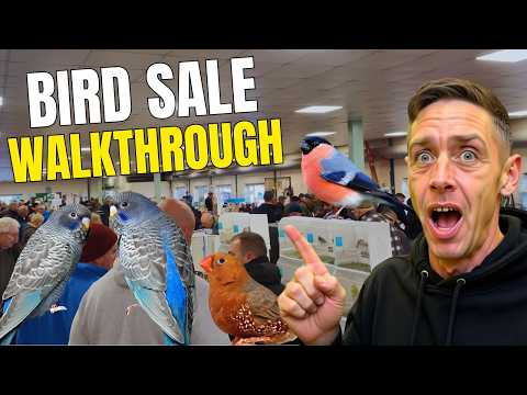 Inside the Staffordshire Bird Sale – Full Walk around Nov 2025