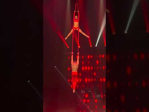 International Circus Festival  USA 2024 Duo Desire