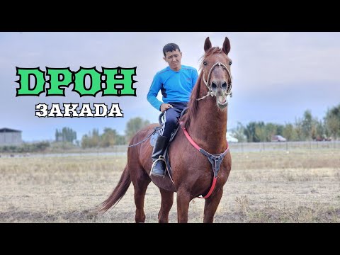 Закада ИШЕНГЕН АТ ДРОН