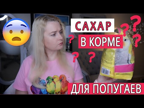 ВИДЫ КОРМОВ ДЛЯ ПОПУГАЕВ | СКОЛЬКО КОРМА ДАВАТЬ ПОПУГАЮ | КАК ПЕРЕВОДИТЬ ПОПУГАЯ НА НОВЫЙ КОРМ