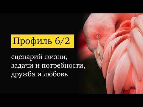 Профиль 6/2 в Дизайне Человека: взгляд изнутри