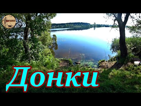 Куда мы приехали !!! Рыбалка на донки с ночёвкой.