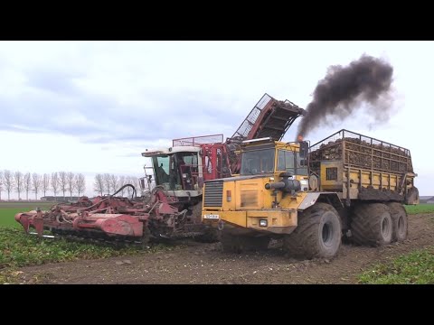 Bieten 2025 | Rokende Volvo A30+Agrifac Hexa 12 rijer samen op dikke banden | Case IH | Beet Harvest