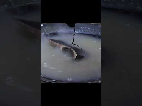 Restoration of an Old Rusty Russian Ax