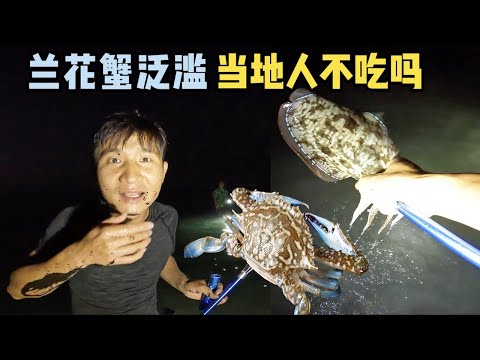 《环球探海记》阿曼 第48天:这里的兰花蟹泛滥,当地人为啥都不吃? #抓螃蟹 #赶海 #阿曼 #马西拉岛