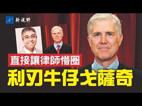 史詩級拆解！大法官戈薩奇以縝密而強大的邏輯，直接將辯護律師帶入自己的陷進，被媒體評為最高法院總統權力案聽證會的MVP。#川普 #戈薩奇 #總統權力 | 新視野 第2083期 20251212