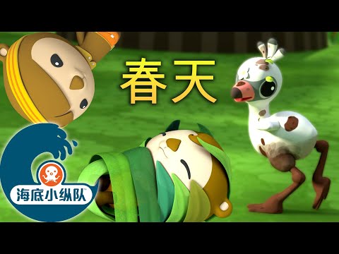 海底小纵队 - 春天的小宝宝 🐣  | 复活节特辑 | 集完整版