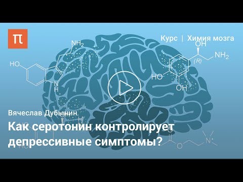 Серотонин — Вячеслав Дубынин на ПостНауке