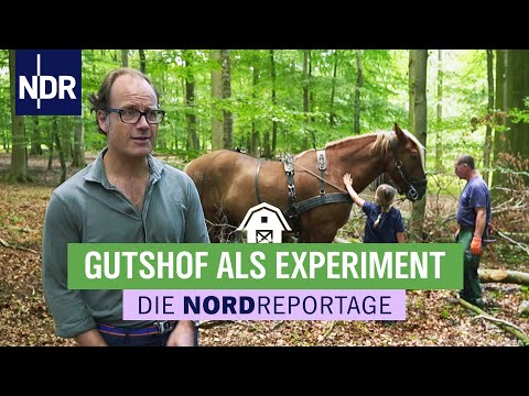 Landwirtschaft kreativ betreiben | Die Nordreportage | NDR