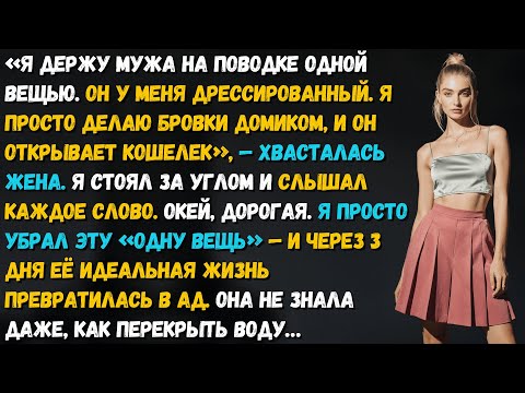 Жена смеялась, что я у неё «на поводке». Я лишил её денег и комфорта. Месть была жестокой.
