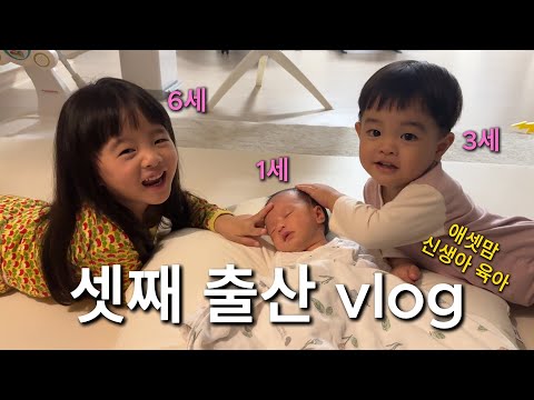 👶🏻Finally, my third child! My first and second child's reactions to meeting their new sibling✨C-s...