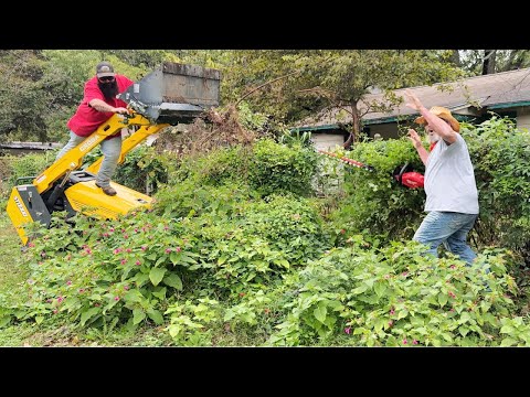 Knee Deep in Trash and Trouble as this Lawn Threw Everything at Us/ We Didn't Back Down