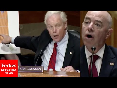 'Do You Not Admit This Is A Problem?': Ron Johnson Takes Mayorkas To Task Over Border Crossings