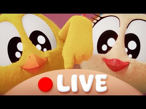 WHERE'S CHICKY TV | SEASONS 1-3 & ALL EPISODES 🔴 LIVE CARTOON | Best Cartoon Collection for Kids