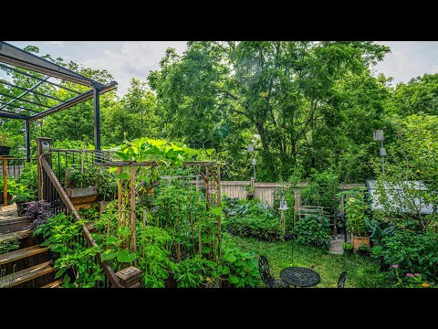 What happens to all this by the end of the season?