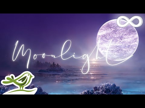 Moonlight: Ethereal Ambient Music for Deep Sleep by Peder B. Helland with Nature Slideshow