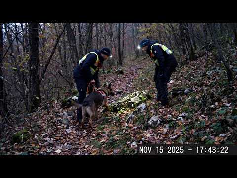 The Deadly Truth About Vanishing People in National Parks