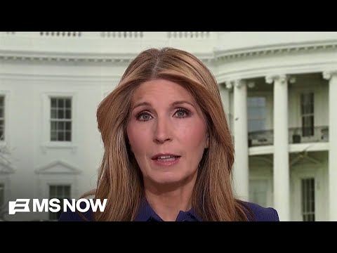 'A line we as a country cannot uncross’: Nicolle Wallace reacts to Don Lemon’s arrest over protest