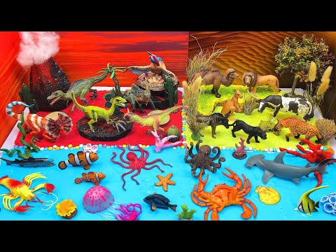 Explore Volcano, Savanna & Ocean Animals | Animal Diorama Learning for Kids ππ¦π