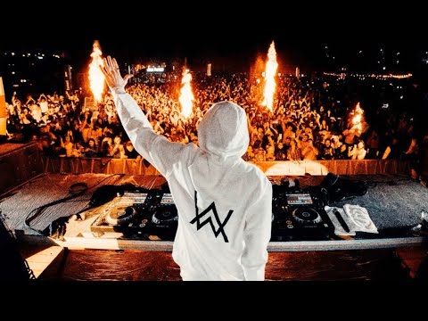 AlanWalker - Live @ Barasti Beach in Dubai🇵🇸 [FULL SET]