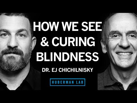 How the Brain Works, Curing Blindness & How to Navigate a Career Path | Dr. E.J. Chichilnisky
