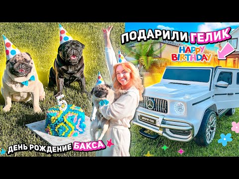 ПОДАРИЛИ ГЕЛИК НА ДЕНЬ РОЖДЕНИЕ..😱БАКСУ 5 ЛЕТ! делаем фотки как в PINTEREST!  birthday vlog ✨
