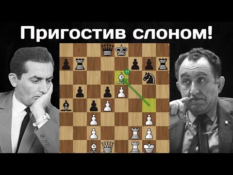 Справжній розгром! Леонід Штейн - Тигран Петросян. Чемпіонат СРСР 1961. Шахи