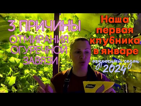 Повестка в военкомат. Жизнь в деревне кипит. Домашняя шаурма. Незапланированная встреча с блогерами.