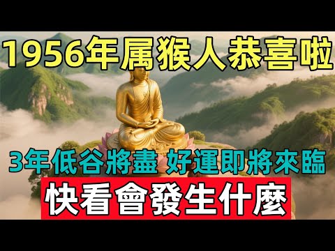 1956年属猴人恭喜啦！3年低谷將盡，好運即將來臨！快看會發生什麼？#佛约#生肖#财运 #佛學 #佛陀 #佛法 #佛教 #修行#生肖运势#属相运势#正能量 #monkey #人生感悟