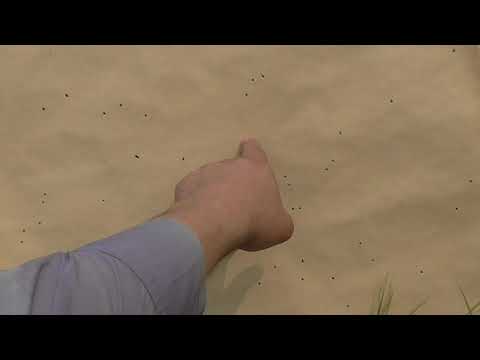 Латунная гильза и дымный порох.  Стоит ли заряжать?