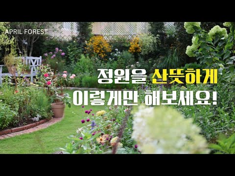 올여름 정말 잘 심은 꽃들! ㅣ 깔끔하고 시원해 보이는 정원 만들기 🌿ㅣ가을을 위한 여름전정 ㅣ구독자이벤트 🙋‍♀️