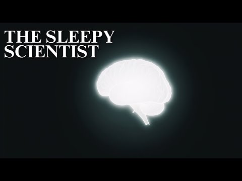 What Really Happens When You Sleep? | Science for Sleep