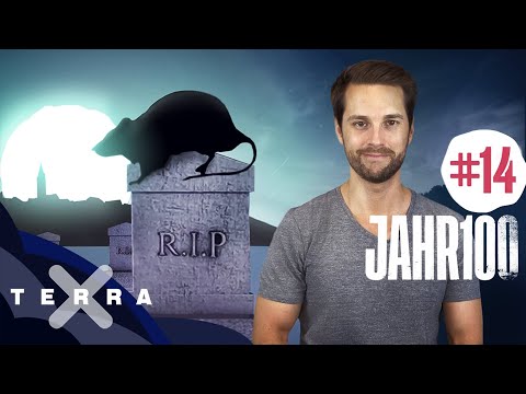 14. Jahrhundert – Klimawandel und Epidemien, das Krisen-Jahrhundert #jahr100 | MrWissen2go | Terra X
