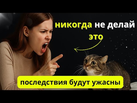 НИКОГДА не делайте этого с кошкой - последствия ужасны