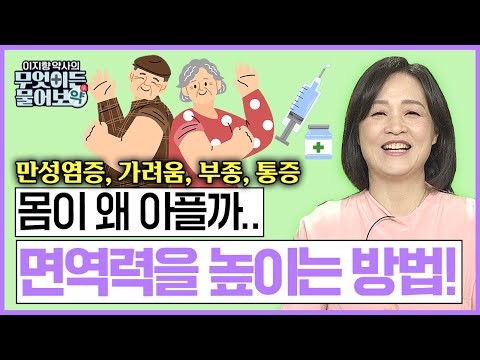 몸은 대체 왜 아픈 걸까?  염증과 질병에 간지럽고 붓는 내 몸.. 면역력을 높이는 방법!! [이지향 약사의 무엇이든 물어보약 24 마지막 화]