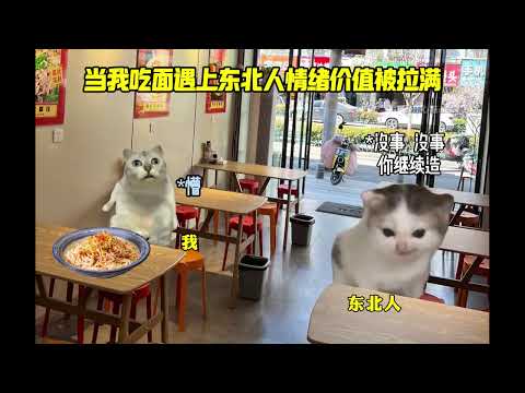 当你意外穿越到秦朝#猫meme #真实还原 #万万没想到