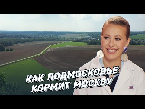 Как Подмосковье кормит Москву – Фермеры. Аграрии. Инновации.