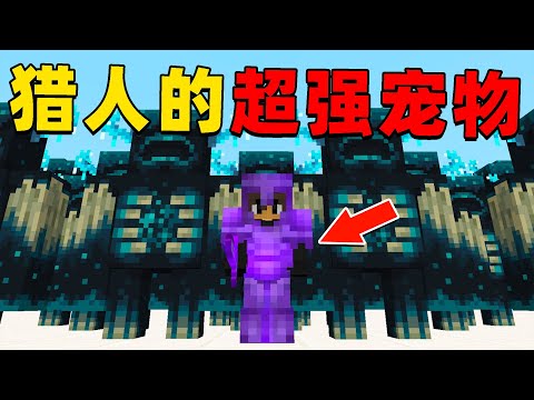 我的世界：猎人拥有史上最强的宠物，而我的宠物却非常弱小，这种情况下我该如何战胜猎人完成复仇？