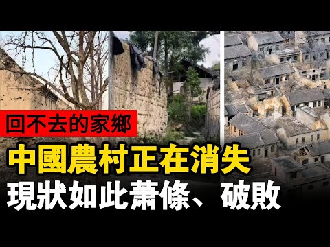中國農村正在消失:空屋遍地、村道荒蕪;回不去的故鄉,待不下的城市