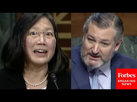 'What Did You Mean When You Said That?': Ted Cruz Grills Judicial Nominee Over Past Statements