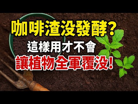 🌱咖啡渣沒發酵？這樣用才不會讓植物全軍覆沒！｜咖啡渣正確用法｜堆肥教學｜植物養護技巧｜環保園藝｜新手常見錯誤｜有機肥料注意事項